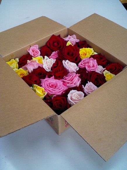 箱折り薔薇